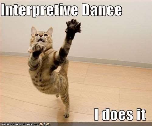 самые смешные фото танцующих котов